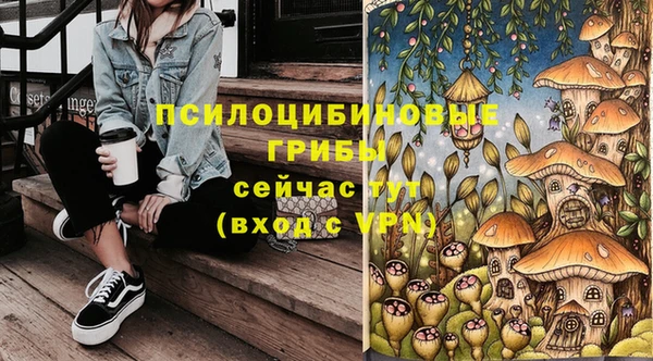 ALPHA-PVP Баксан