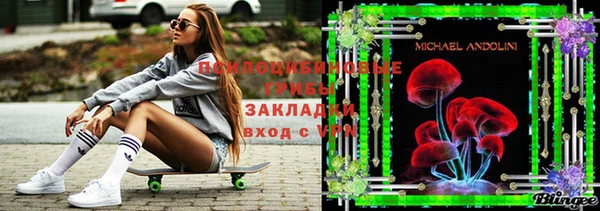 хмурый Балабаново