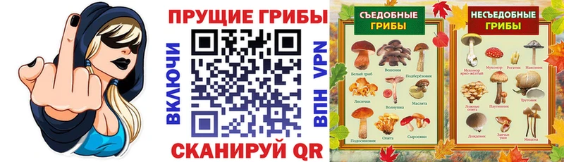 kraken ссылки  Белинский  Галлюциногенные грибы Magic Shrooms 